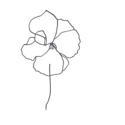 Abstract Flower Drawing Fine Art