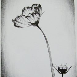 Abstract Flower Drawing Intricate Artwork