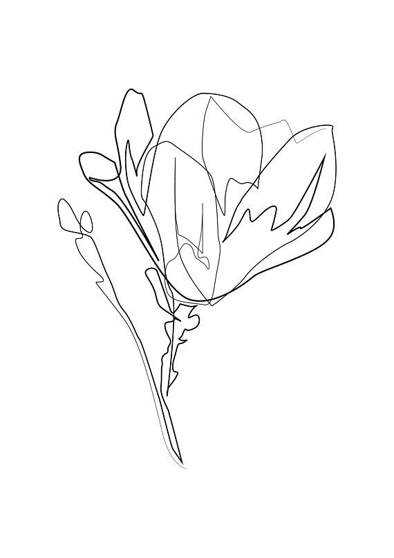 Abstract Flower Drawing