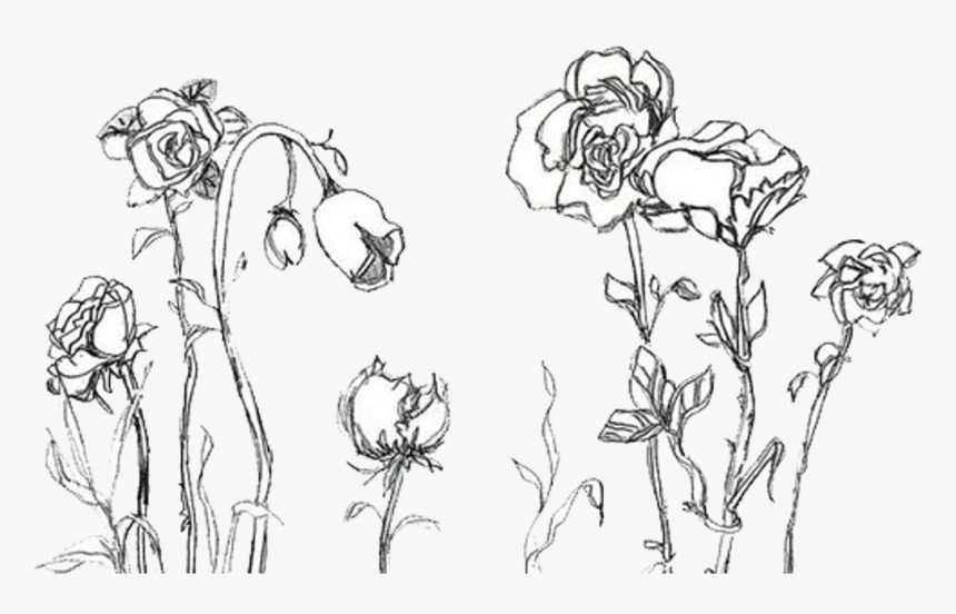 Aesthetic Flower Drawing Detailed Sketch