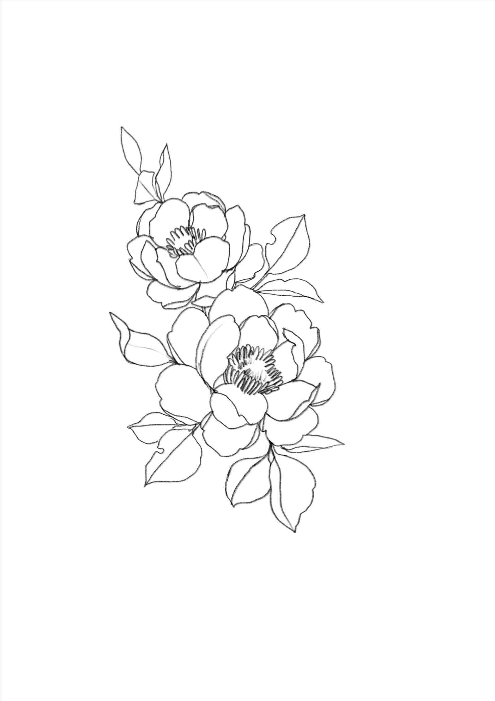 Aesthetic Flower Drawing Hand drawn Sketch