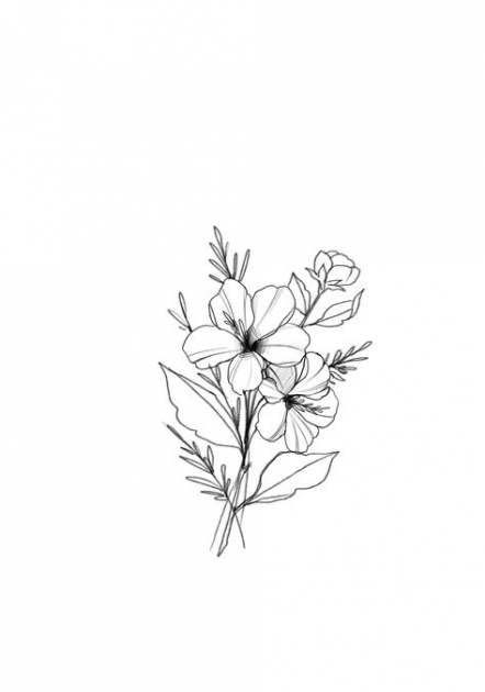 Aesthetic Flower Drawing Modern Sketch