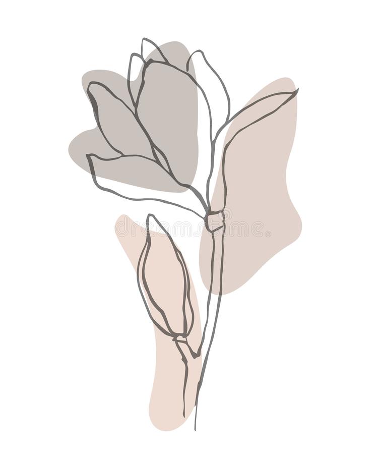 Aesthetic Flower Drawing Stunning Sketch