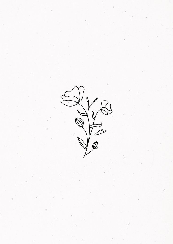 Aesthetic Flower Drawing