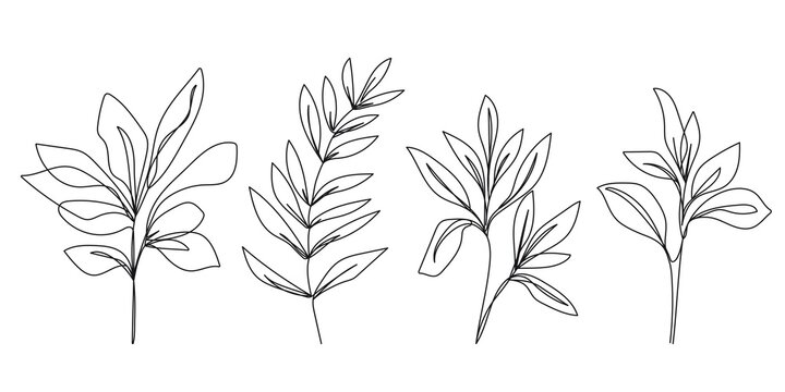 Aesthetic Plant Drawing Amazing Sketch