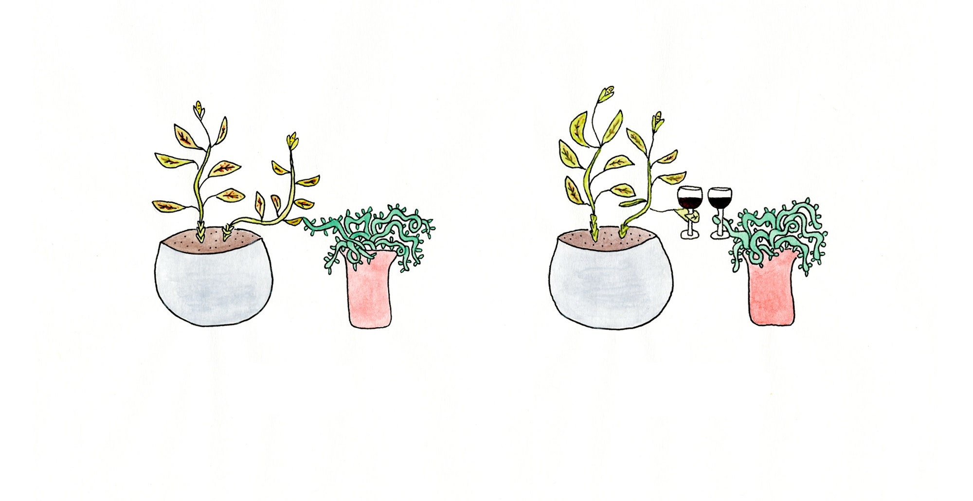 Aesthetic Plant Drawing Creative Style