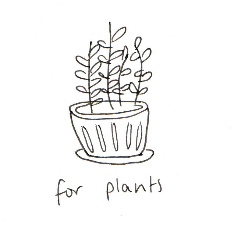 Aesthetic Plant Drawing Image