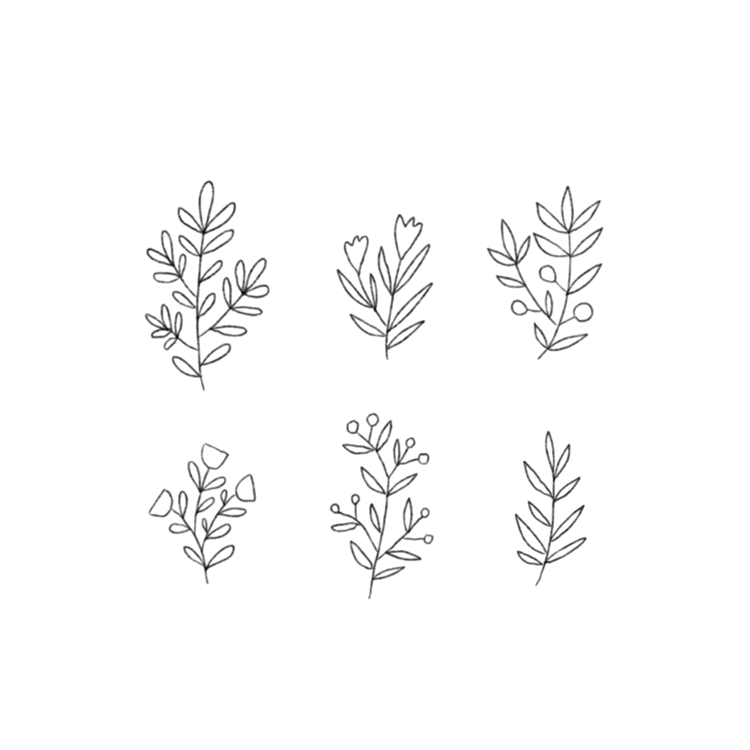 Aesthetic Plant Drawing Intricate Artwork