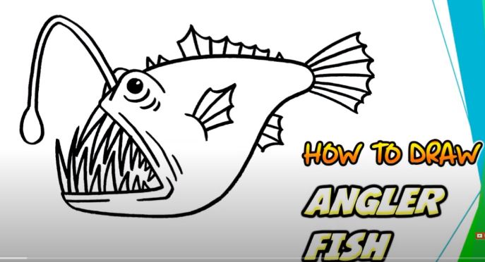 Angler Fish Drawing Hand Drawn Sketch