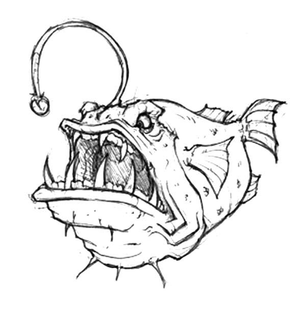 Angler Fish Drawing Image