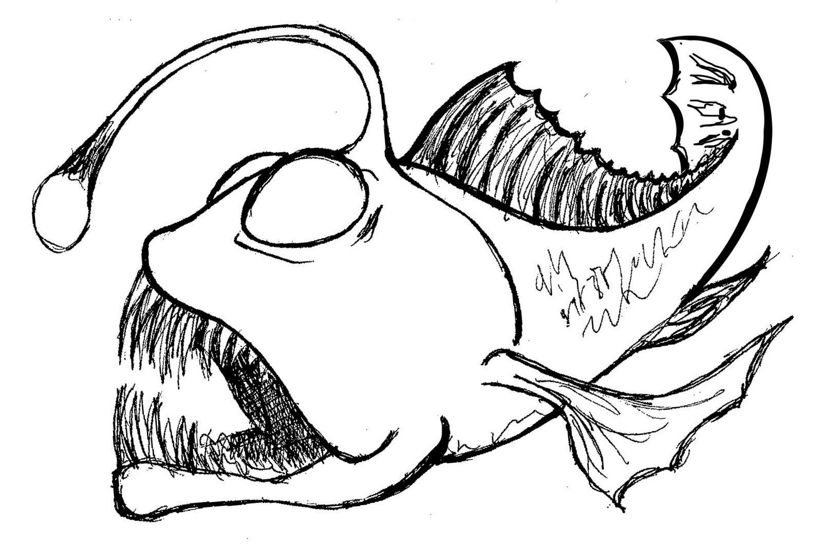 Angler Fish Drawing Intricate Artwork