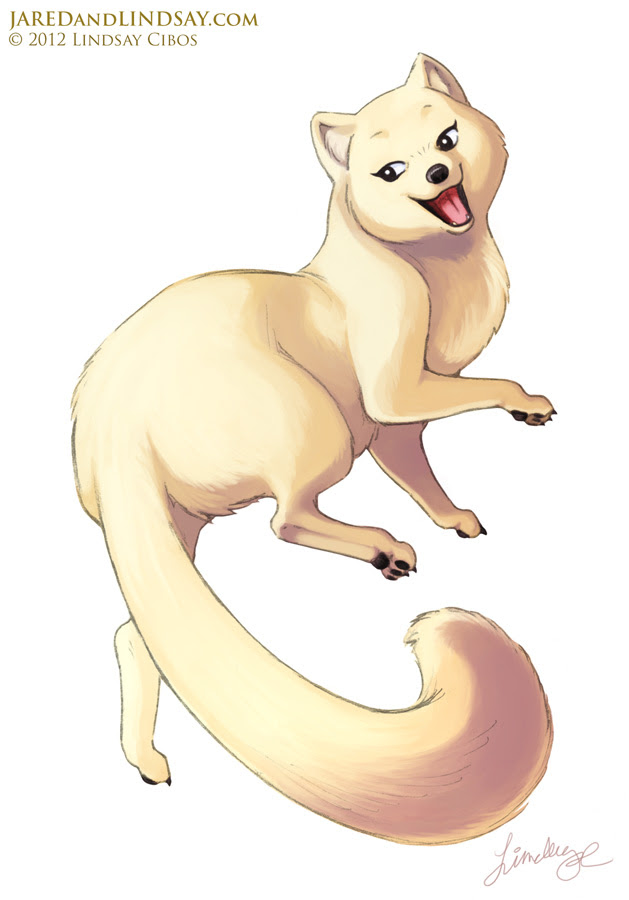 Arctic Fox Drawing Art