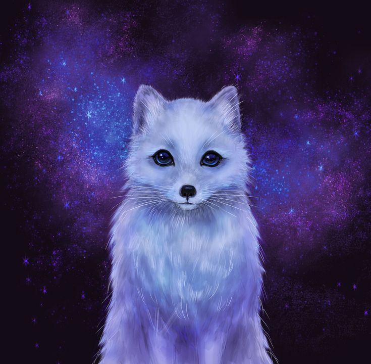 Arctic Fox Drawing Image