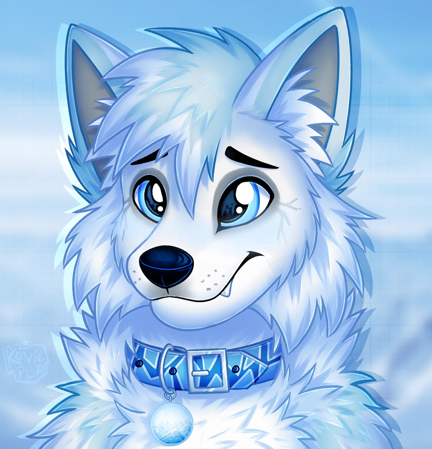 Arctic Fox Drawing Picture