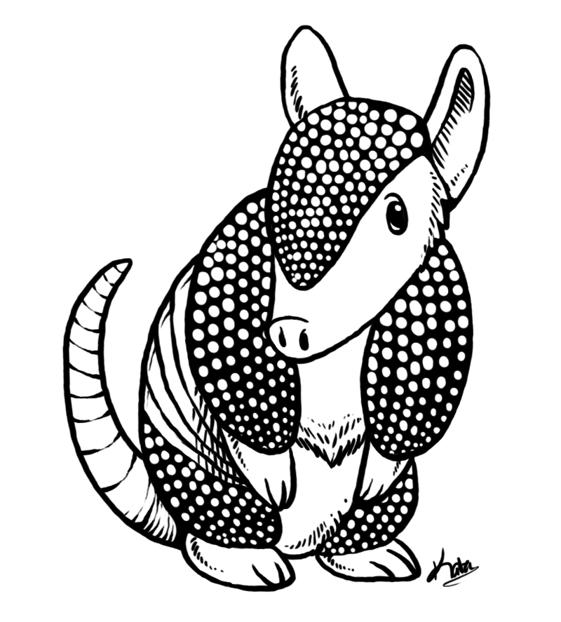 Armadillo Drawing Picture