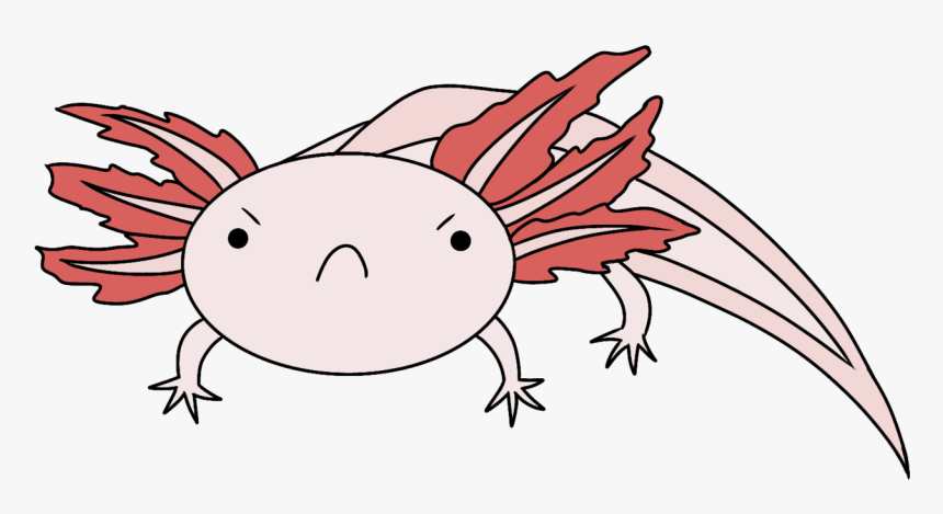 Axolotl Drawing Hand Drawn Sketch