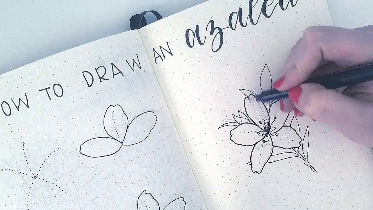 Azalea Drawing Stunning Sketch