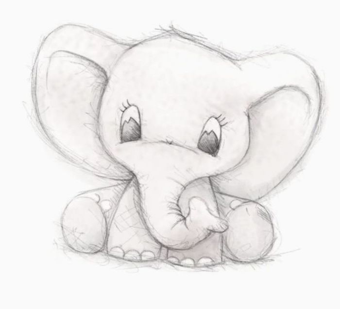 Baby Elephant Drawing Art