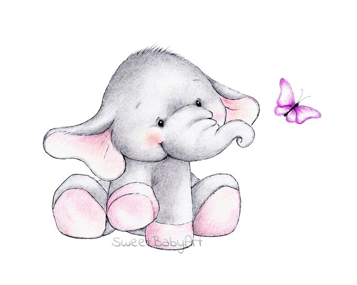 Baby Elephant Drawing Detailed Sketch