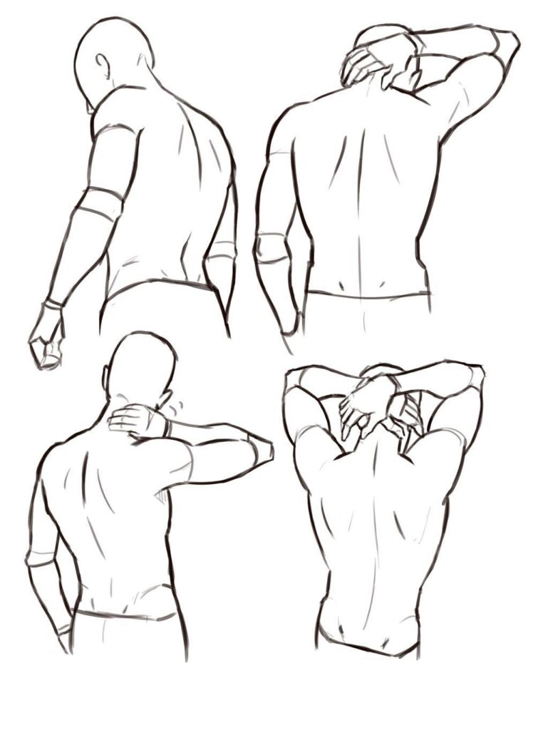 Back Reference Drawing Sketch