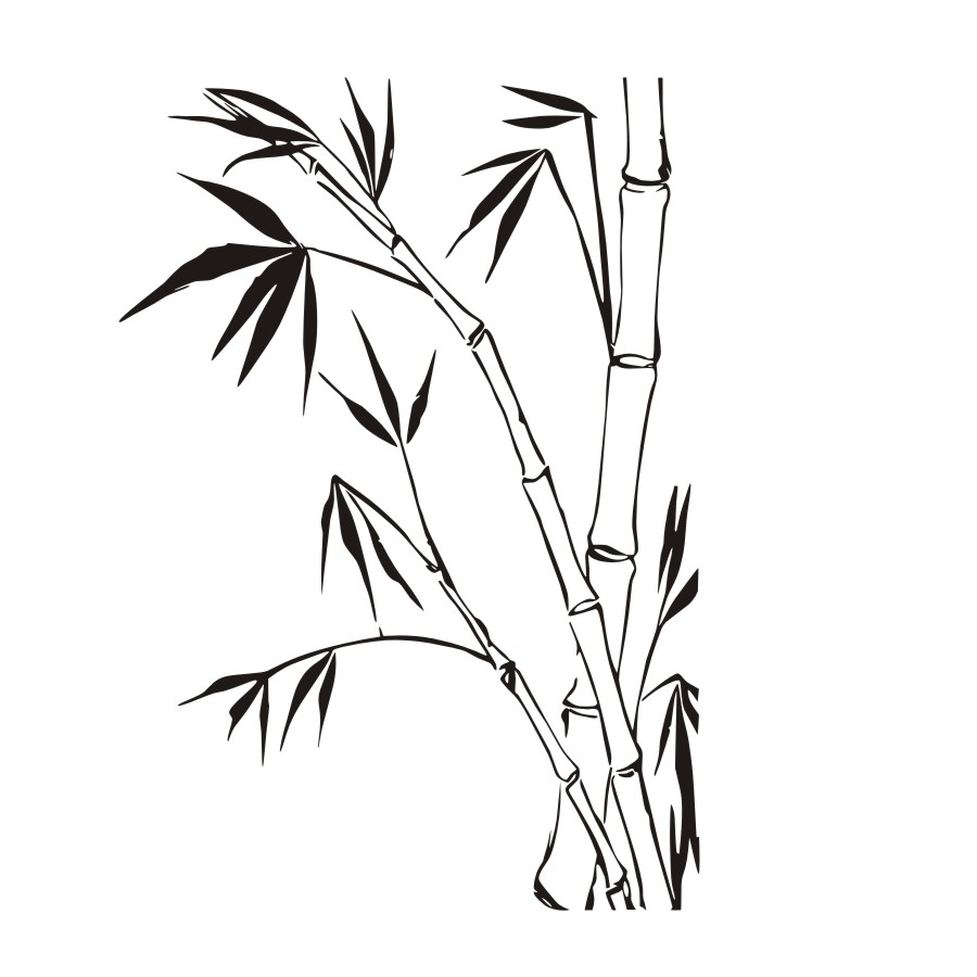 Bamboo Drawing Detailed Sketch