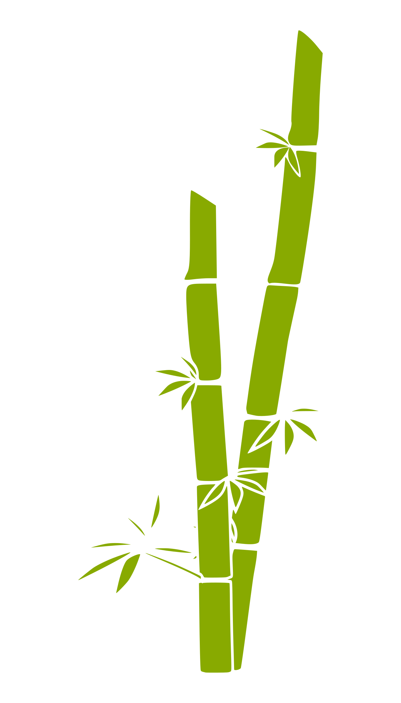 Bamboo Drawing Image
