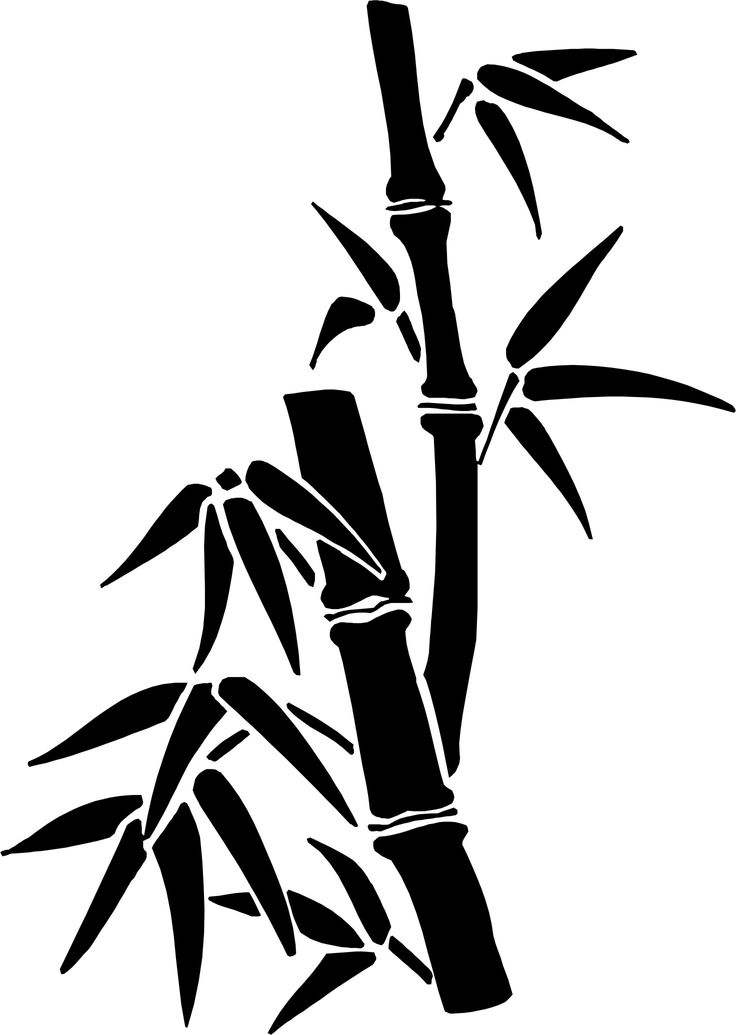 Bamboo Drawing Photo
