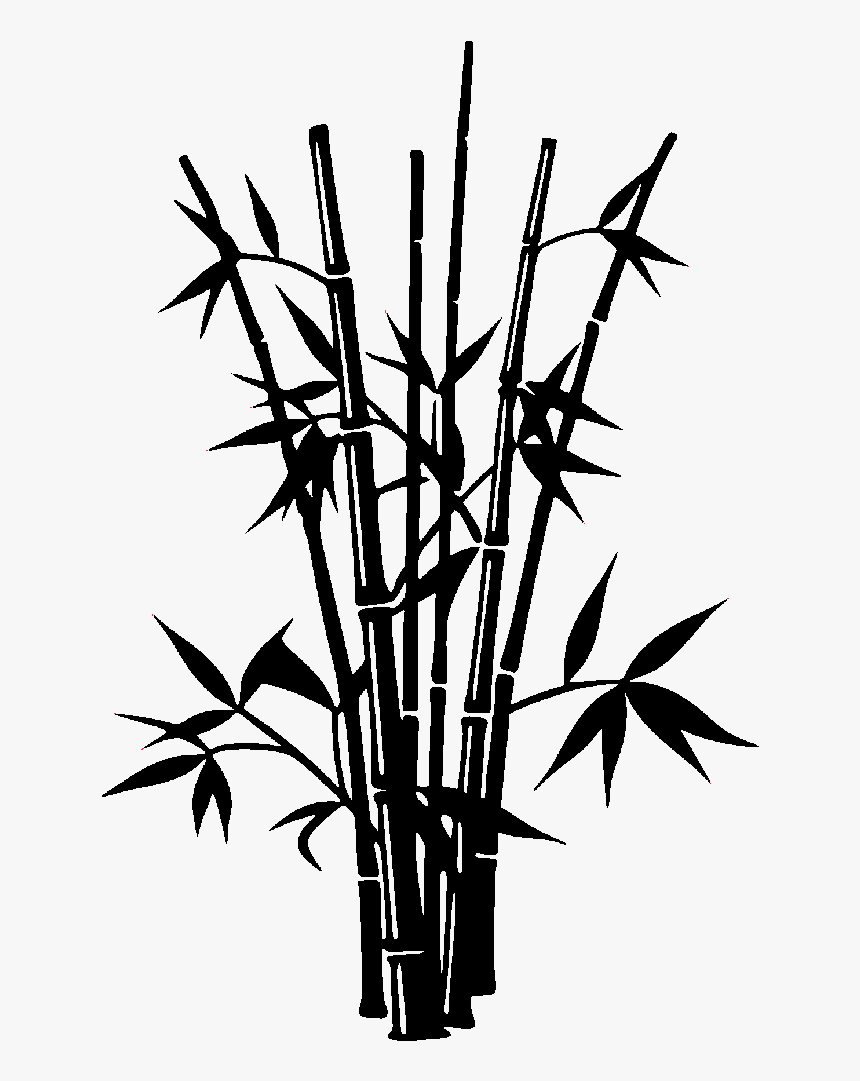 Bamboo Drawing