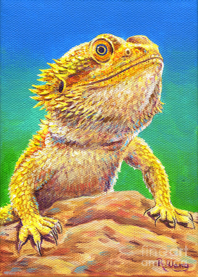 Bearded Dragon Drawing Artistic Sketching