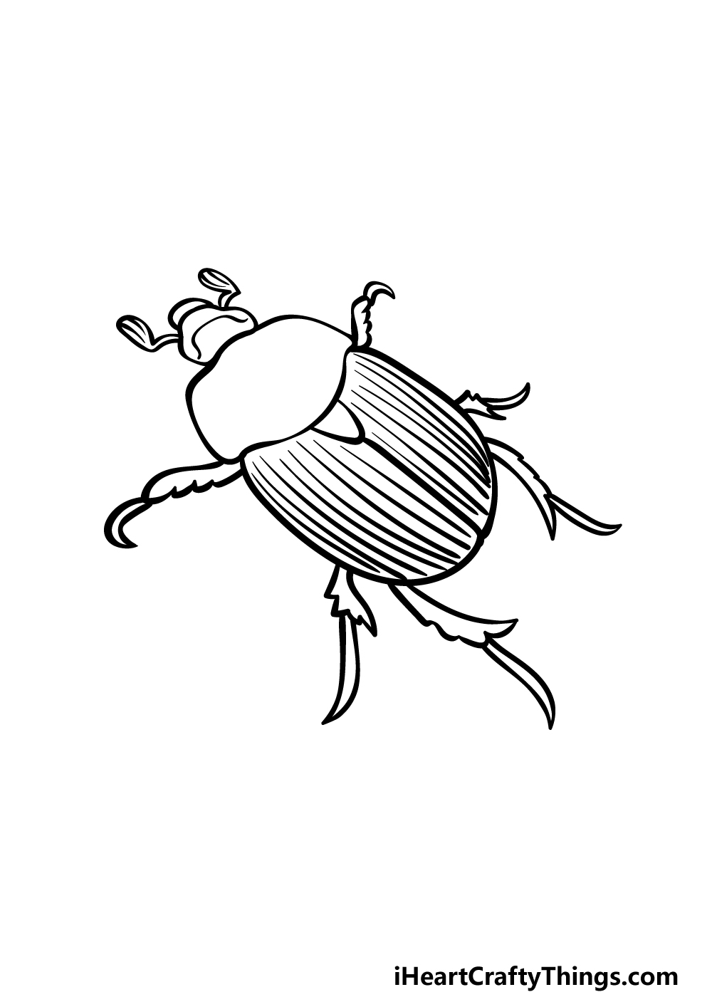 Beetle Drawing Art