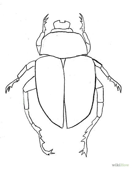 Beetle Drawing Intricate Artwork