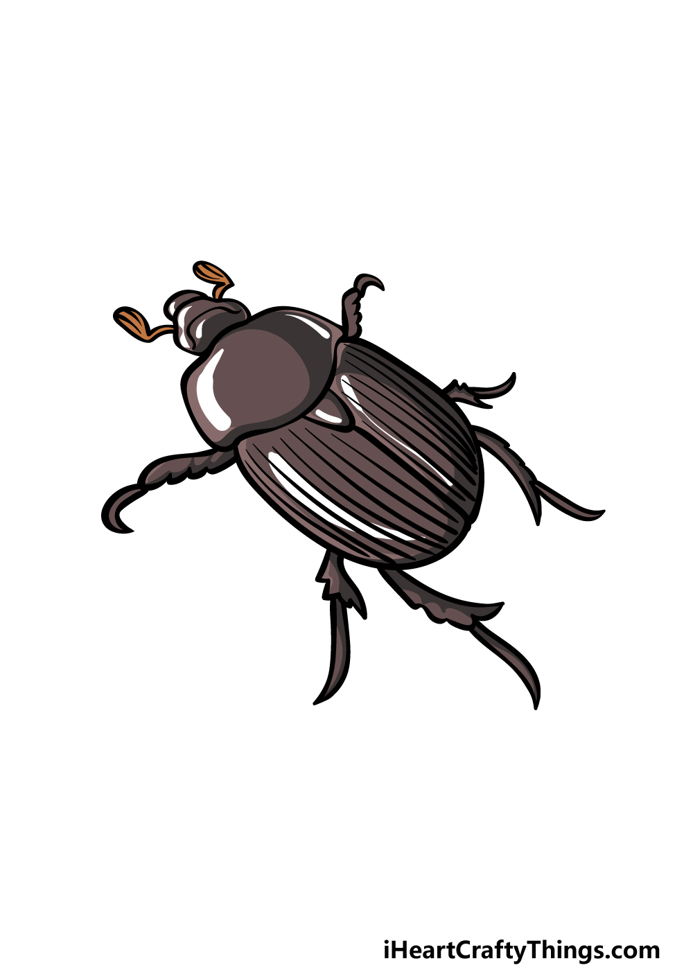 Beetle Drawing Realistic Sketch