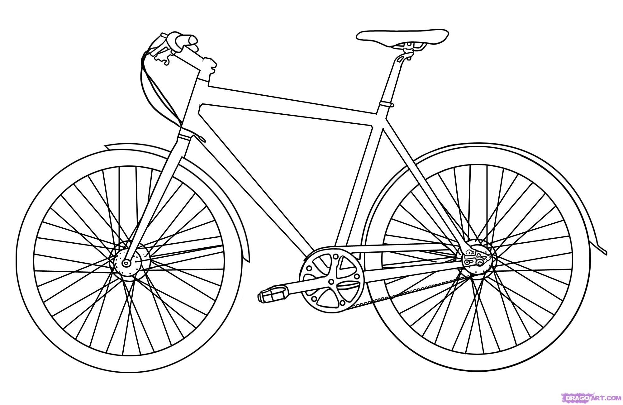 Bicycle Drawing Modern Sketch