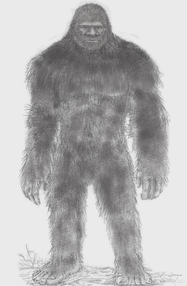 Bigfoot Drawing Amazing Sketch