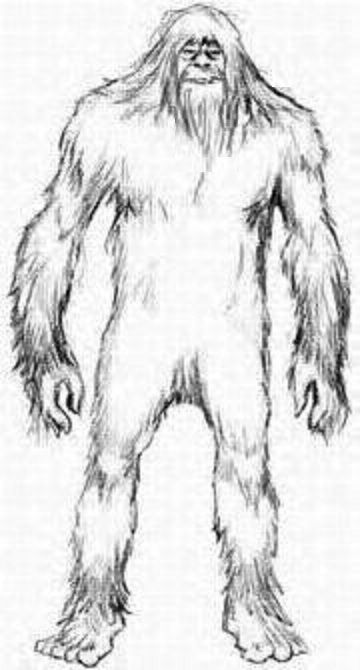 Bigfoot Drawing Fine Art