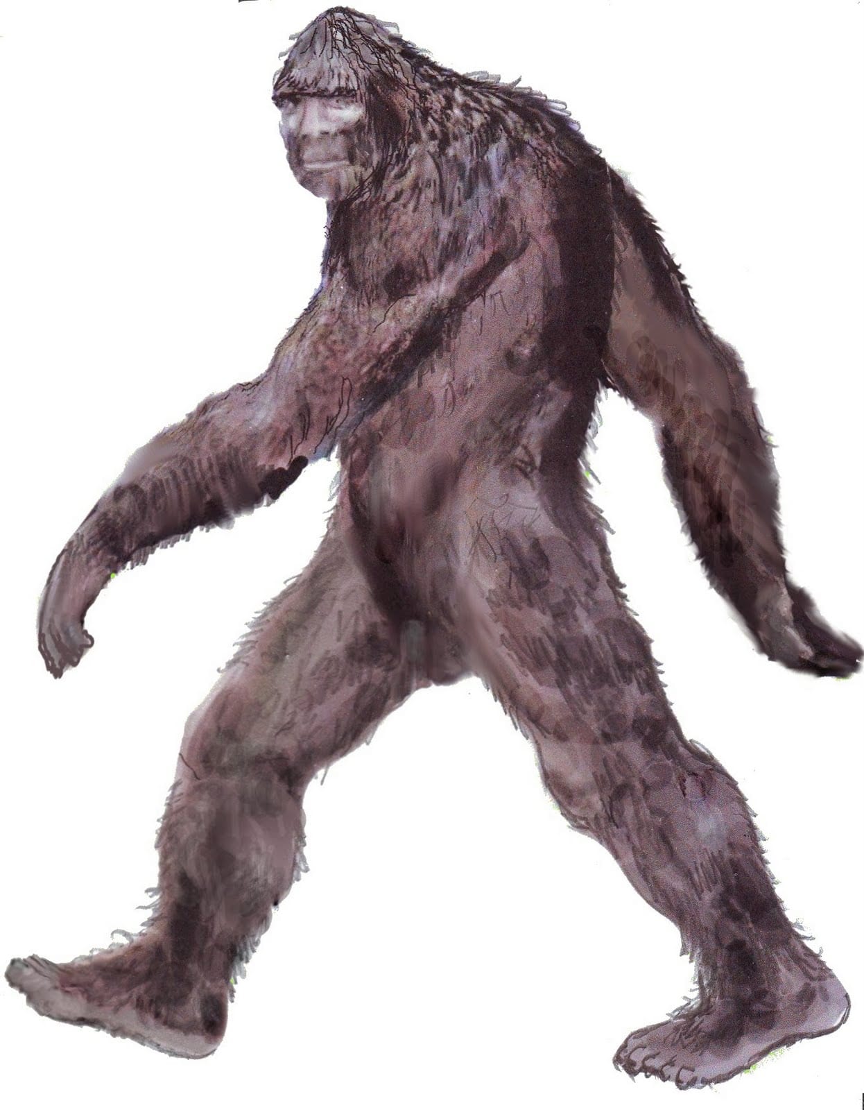 Bigfoot Drawing Hand Drawn