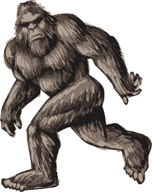 Bigfoot Drawing Modern Sketch