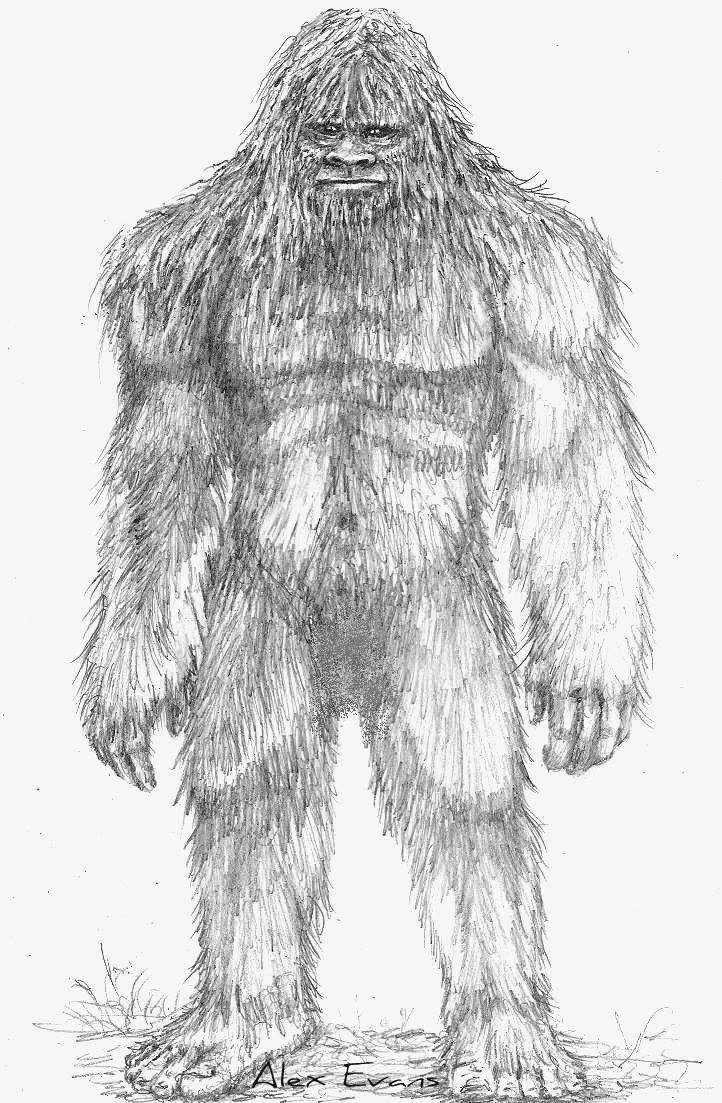 Bigfoot Drawing