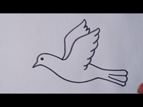 Bird Flying Drawing Modern Sketch