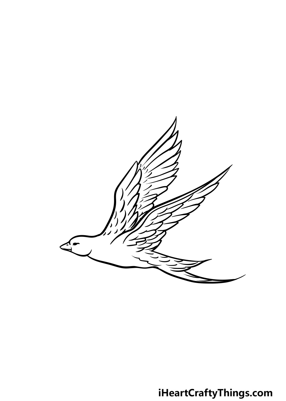 Bird Flying Drawing Stunning Sketch