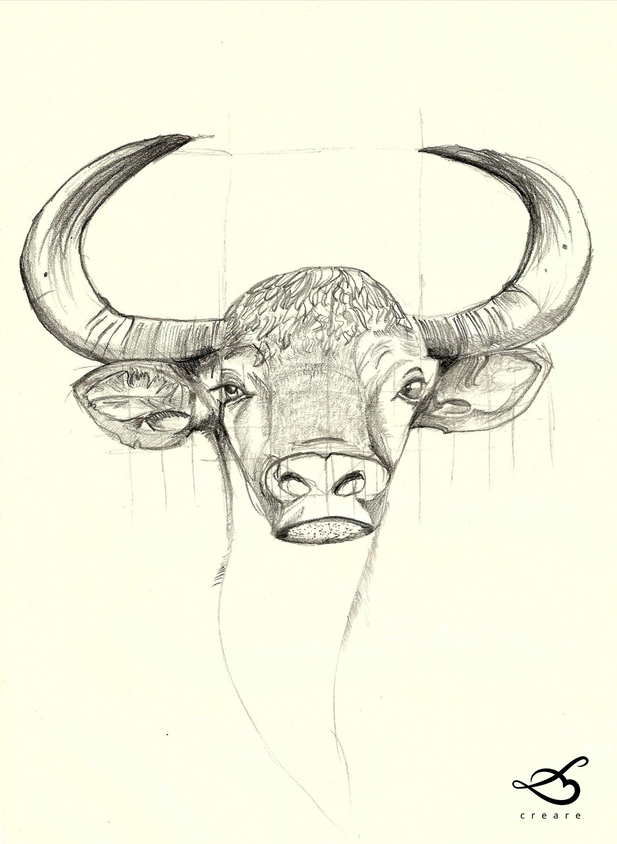 Bison Drawing Modern Sketch