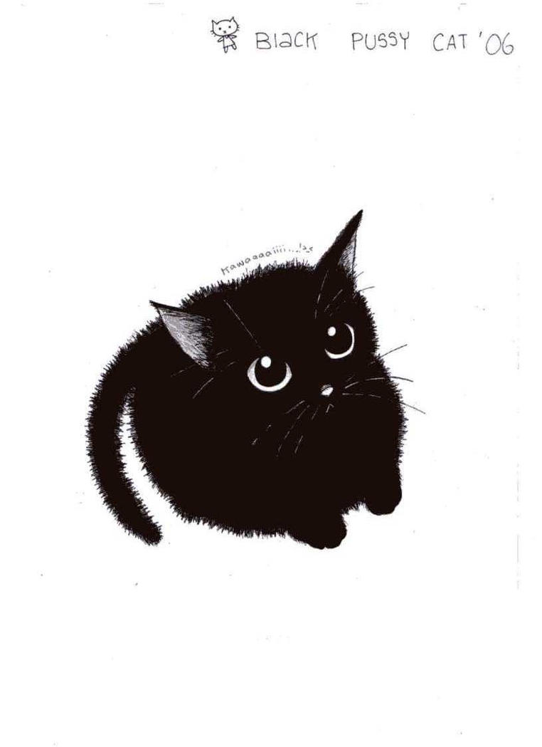 Black Cat Drawing Amazing Sketch