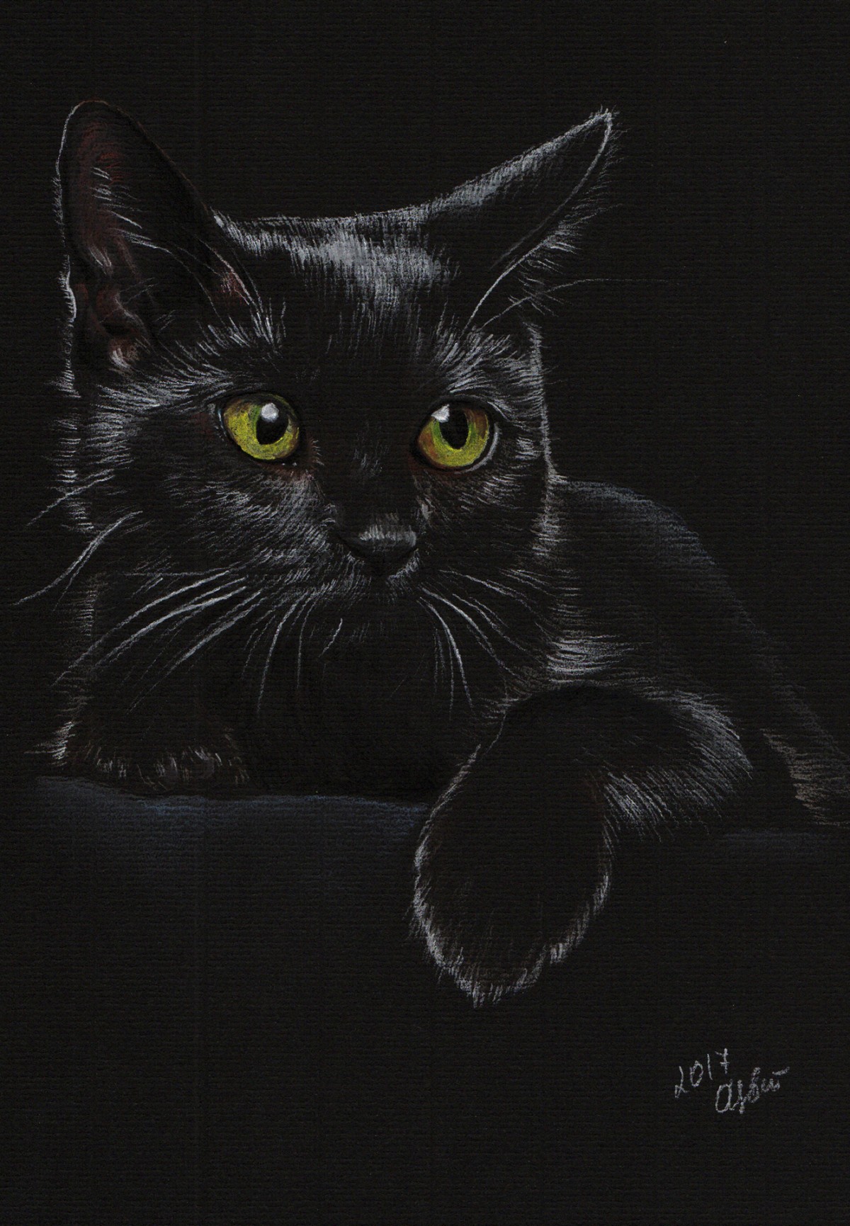 Black Cat Drawing Beautiful Artwork