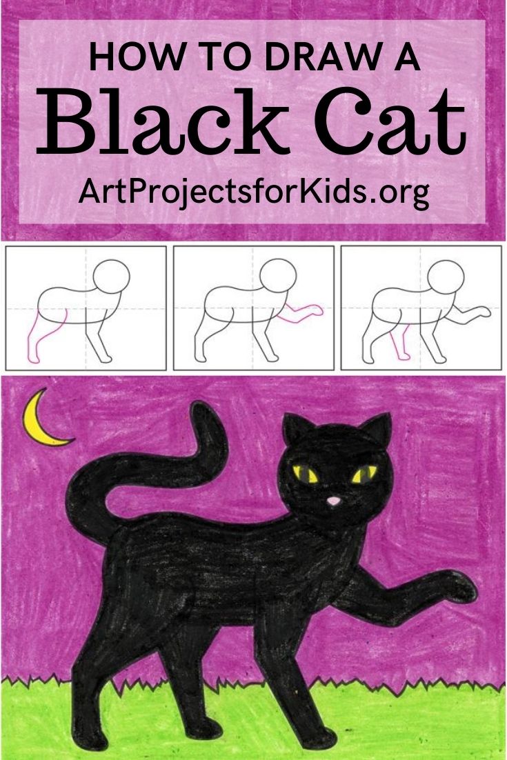 Black Cat Drawing Creative Style