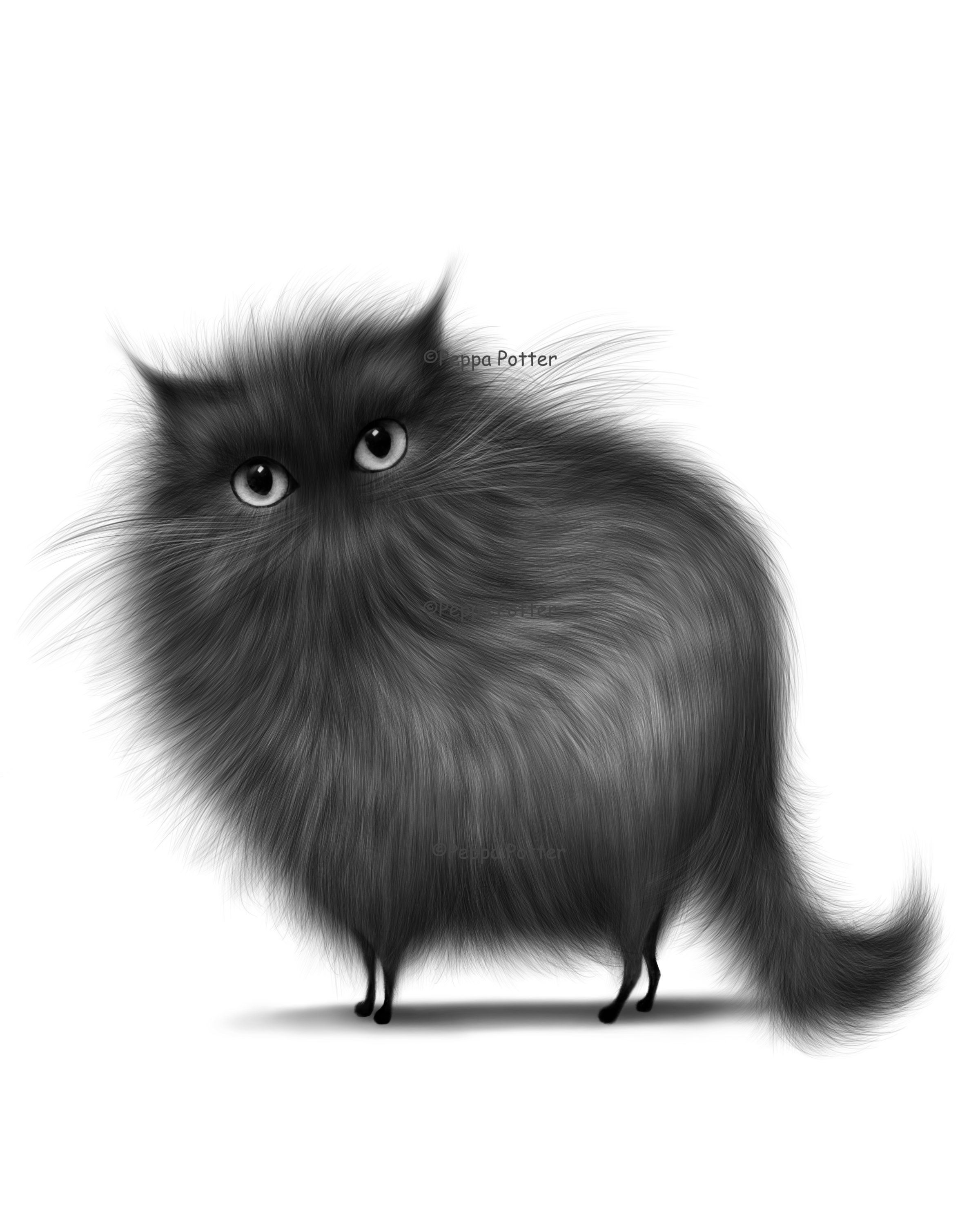 Black Cat Drawing Detailed Sketch