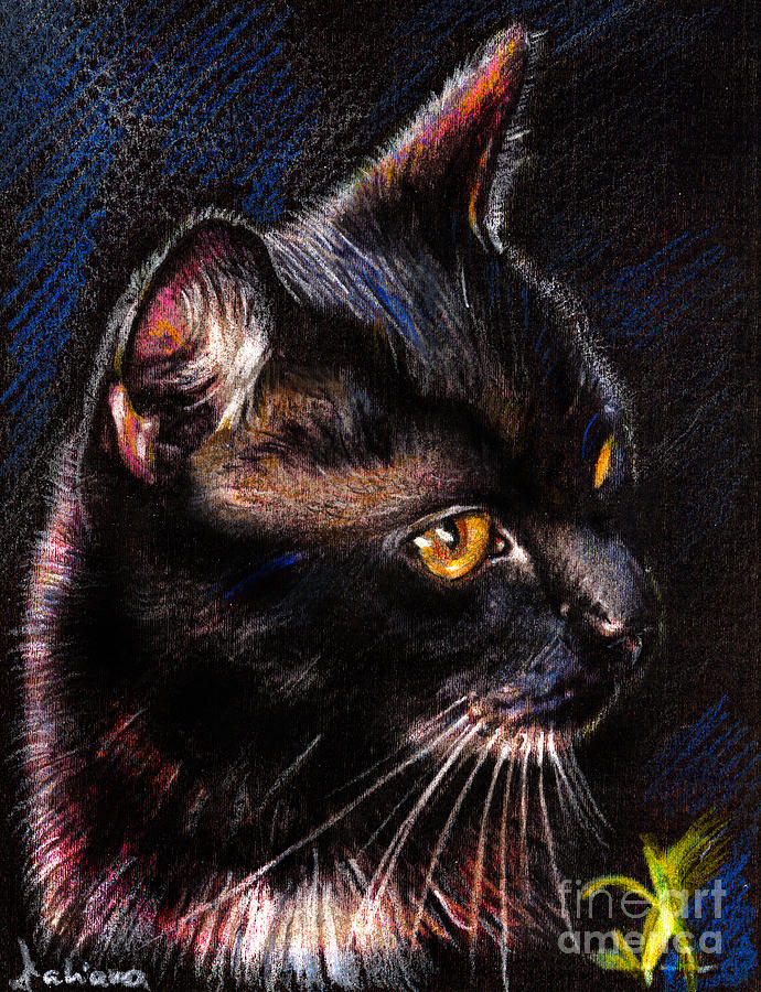Black Cat Drawing Stunning Sketch