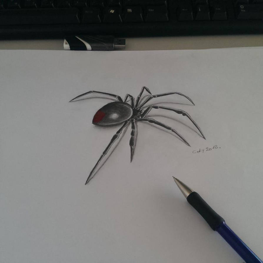 Black Widow Spider Drawing Hand Drawn