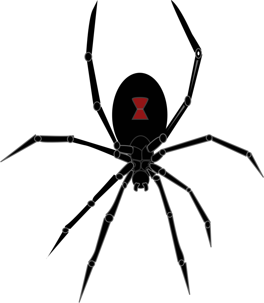 Black Widow Spider Drawing Unique Art