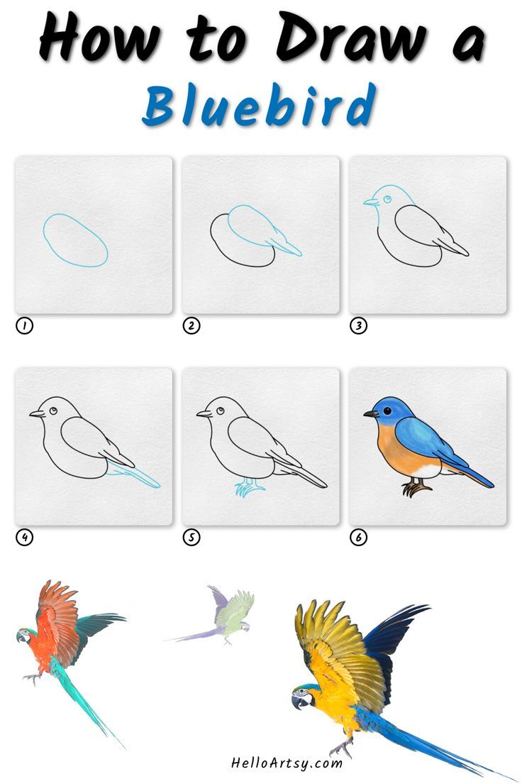 Blue Bird Drawing Art