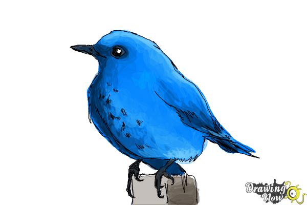 Blue Bird Drawing Intricate Artwork